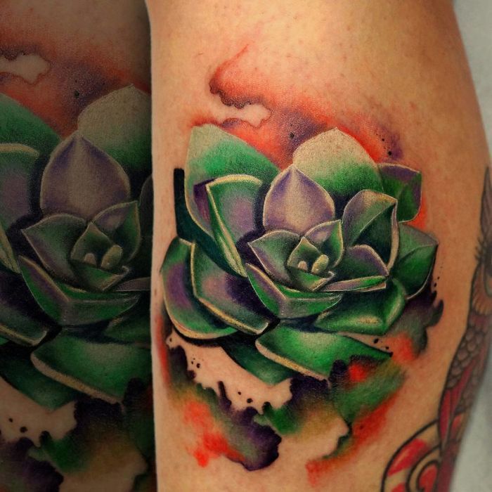 4b038d32efa4d711361ec59b55c9388a_succulent-tattoo-designs-58f8bcf6844b0__700