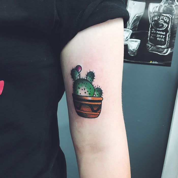 37ce806f5a6de11596d16020870293c8_Succulent-Tattoo-232-595f3bfece500__700