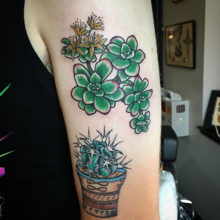 c055e3e6ad7e3c8ea72d15461f86a089_succulent-tattoo-designs-58f8ab17bbe04__700