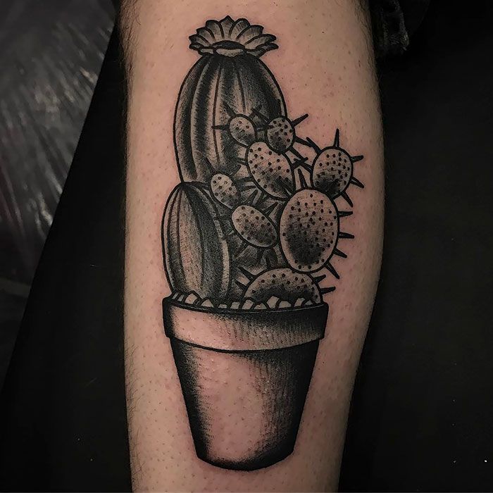 3376463ba0956ee832374be3ef1834a8_Succulent-Tattoo-189-595e34f732108__700