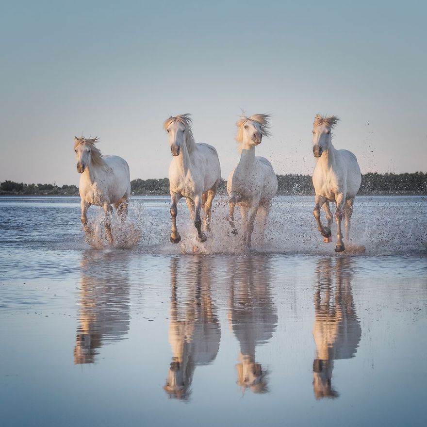 Une sélection des meilleures photos du concours du National Geographic