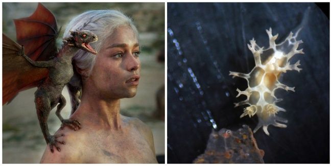 22 faits qui changeront la façon dont vous regardez 22 faits qui changeront la façon dont vous regardez