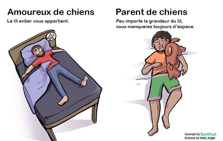 7 différences entre amoureux de chiens et parents de chiens