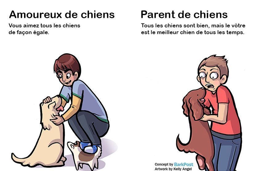 7 différences entre amoureux de chiens et parents de chiens