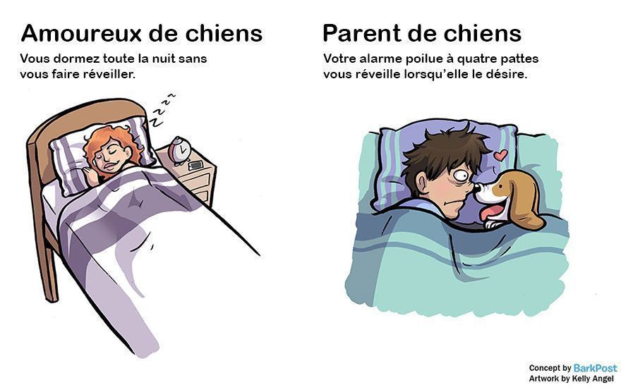 7 différences entre amoureux de chiens et parents de chiens