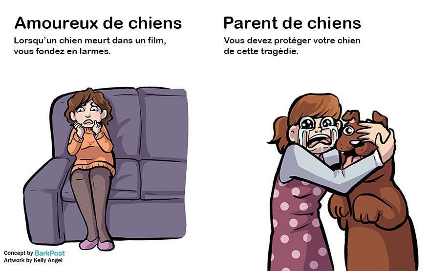 7 différences entre amoureux de chiens et parents de chiens