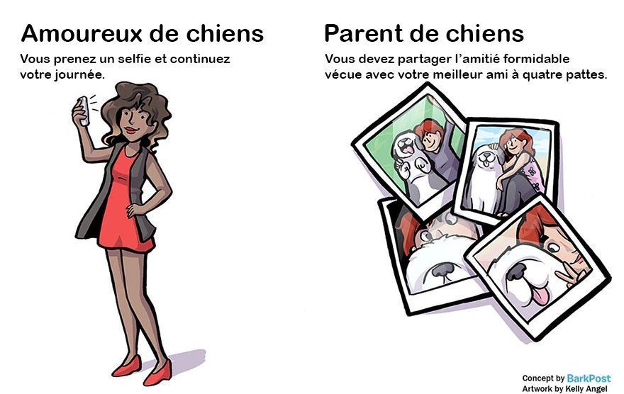 7 différences entre amoureux de chiens et parents de chiens