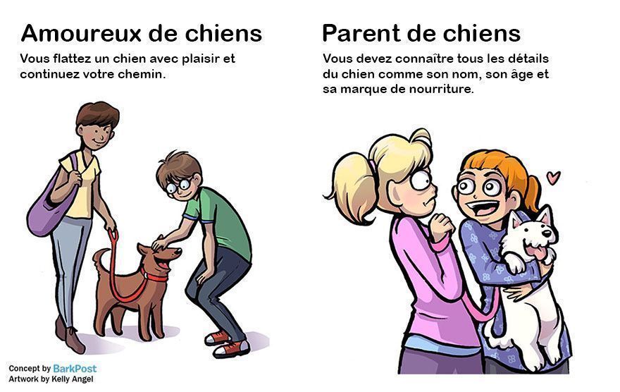 7 différences entre amoureux de chiens et parents de chiens