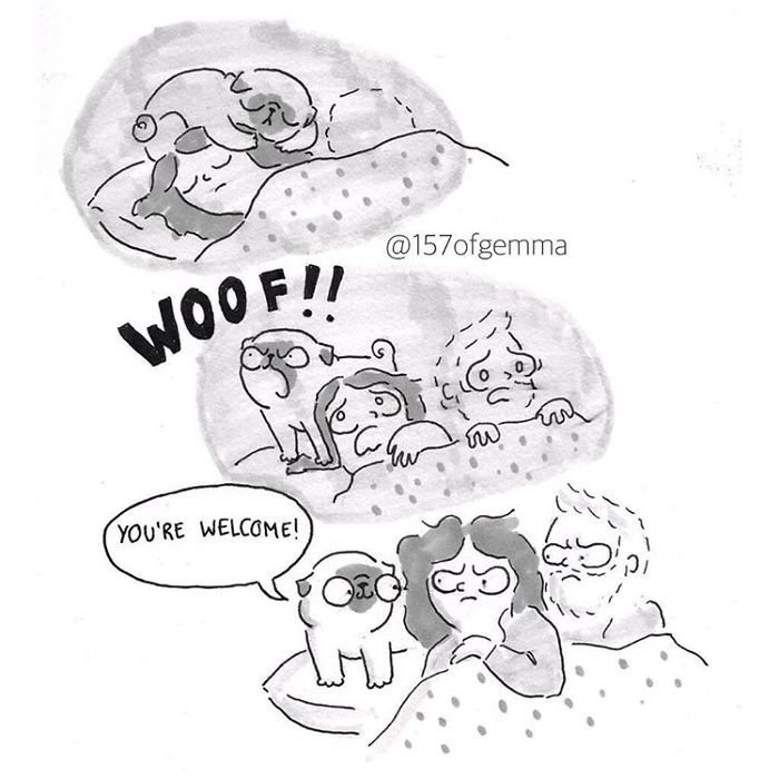 Des bandes dessinées adorables qui résument ce que c'est que de vivre avec un chien Des bandes dessinées adorables qui résument ce que c'est que de vivre avec un chien