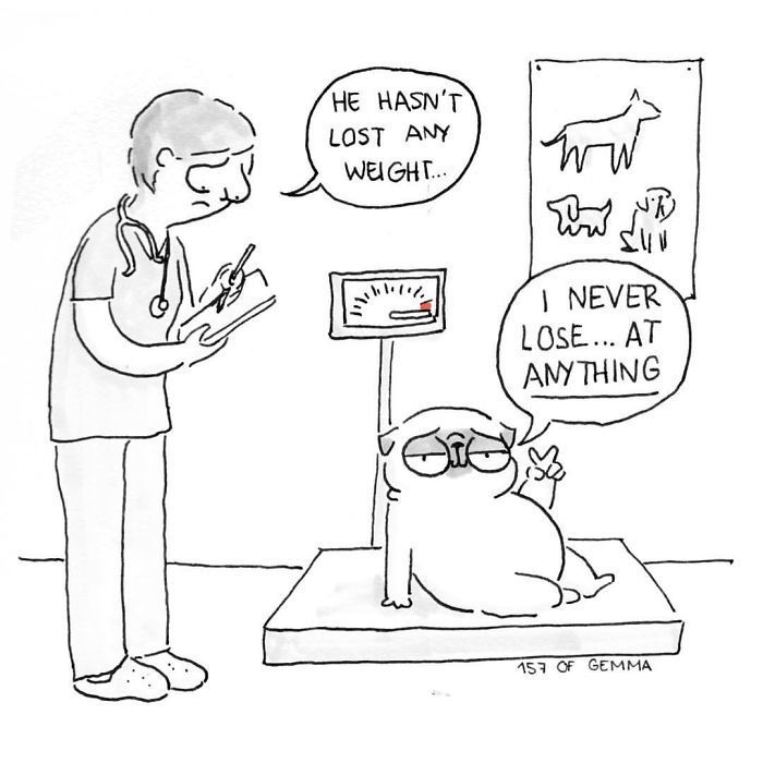 Des bandes dessinées adorables qui résument ce que c'est que de vivre avec un chien Des bandes dessinées adorables qui résument ce que c'est que de vivre avec un chien