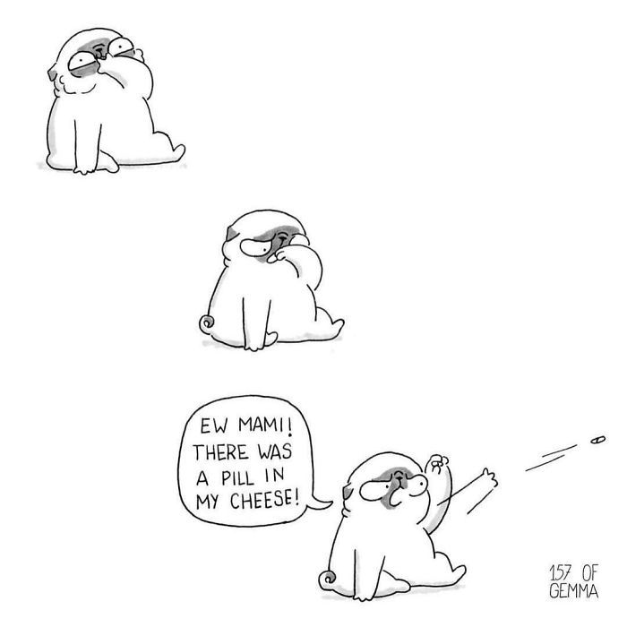 Des bandes dessinées adorables qui résument ce que c'est que de vivre avec un chien Des bandes dessinées adorables qui résument ce que c'est que de vivre avec un chien