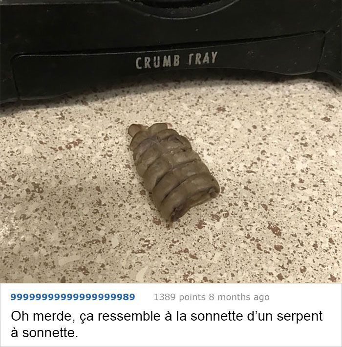 Ces fois ou les gens n'avaient aucune idée de ce qu'ils regardaient, mais Internet savait tout de suite ce que c'est Ces fois ou les gens n'avaient aucune idée de ce qu'ils regardaient, mais Internet savait tout de suite ce que c'est
