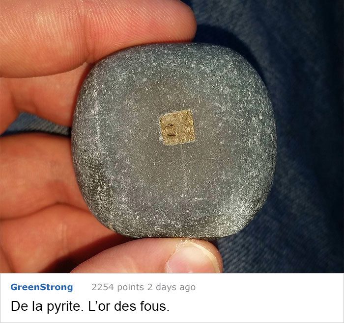 Ces fois ou les gens n'avaient aucune idée de ce qu'ils regardaient, mais Internet savait tout de suite ce que c'est Ces fois ou les gens n'avaient aucune idée de ce qu'ils regardaient, mais Internet savait tout de suite ce que c'est