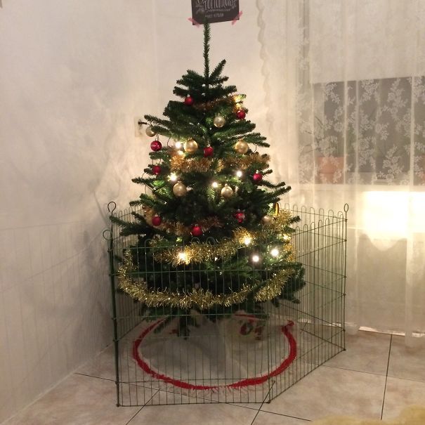 Des Idees De Genie Pour Proteger Les Sapins De Noel Contre Les Chats Et Les Chiens Page 4 Sur 4