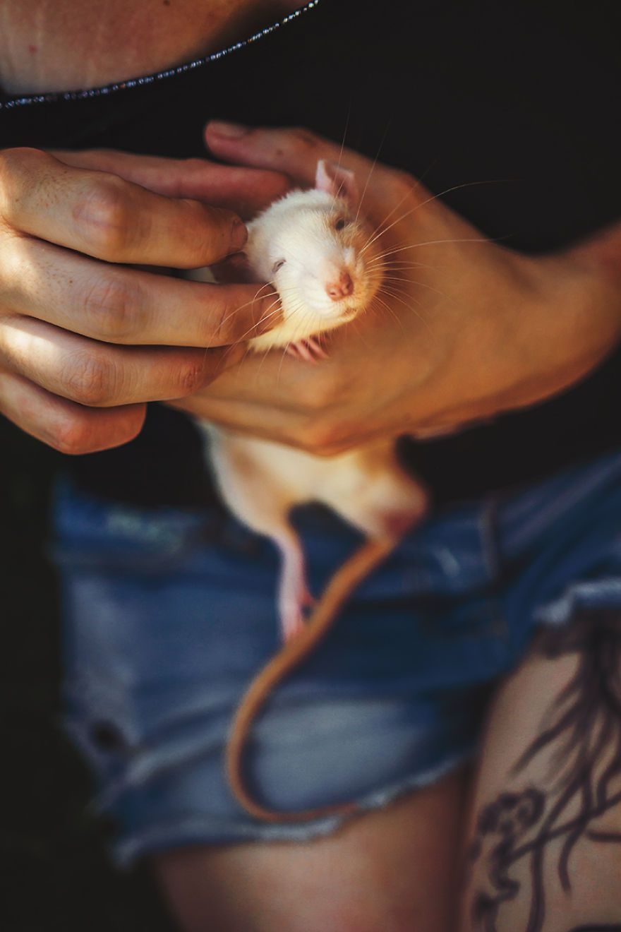 Elle photographie des rats et des souris de laboratoire qui sortent à l'extérieur pour la première fois Elle photographie des rats et des souris de laboratoire qui sortent à l'extérieur pour la première fois
