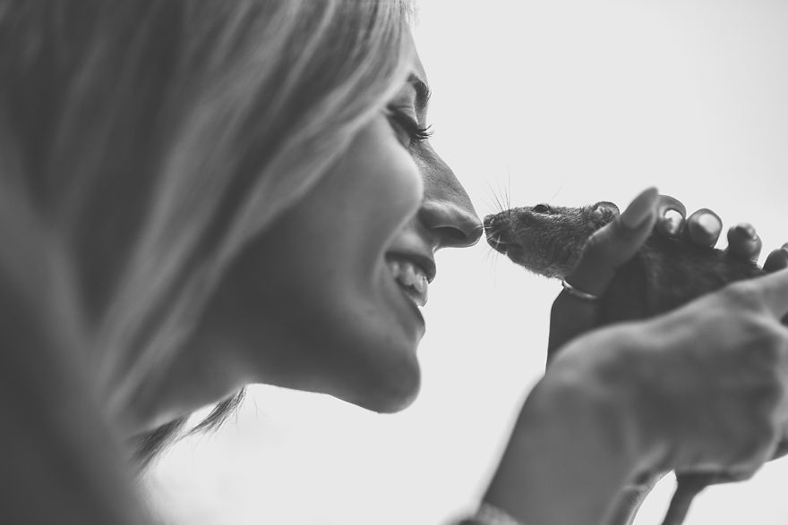 Elle photographie des rats et des souris de laboratoire qui sortent à l'extérieur pour la première fois Elle photographie des rats et des souris de laboratoire qui sortent à l'extérieur pour la première fois