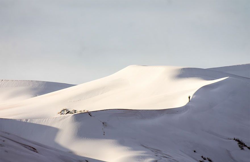 Il a neigé dans le désert du Sahara pour la troisième fois en 40 ans, voici à quoi il ressemble maintenant Il a neigé dans le désert du Sahara pour la troisième fois en 40 ans, voici à quoi il ressemble maintenant
