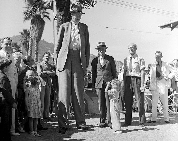 Quelqu'un a trouvé des images rares de l'homme le plus grand qui ait jamais vécu, c'est surréaliste. Quelqu'un a trouvé des images rares de l'homme le plus grand qui ait jamais vécu, c'est surréaliste.