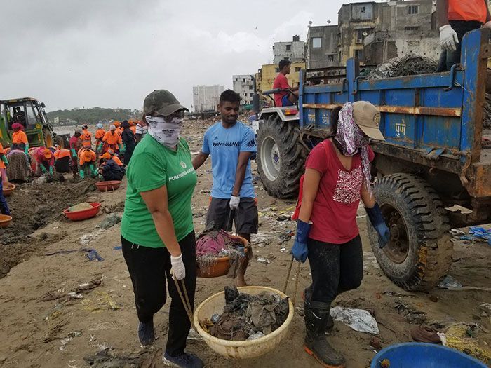 Les tortues reviennent à Indian Beach pour la première fois en 20 ans après le plus grand nettoyage du monde. Les tortues reviennent à Indian Beach pour la première fois en 20 ans après le plus grand nettoyage du monde.
