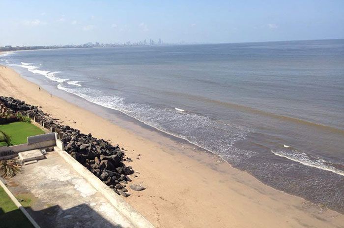 Les tortues reviennent à Indian Beach pour la première fois en 20 ans après le plus grand nettoyage du monde. Les tortues reviennent à Indian Beach pour la première fois en 20 ans après le plus grand nettoyage du monde.