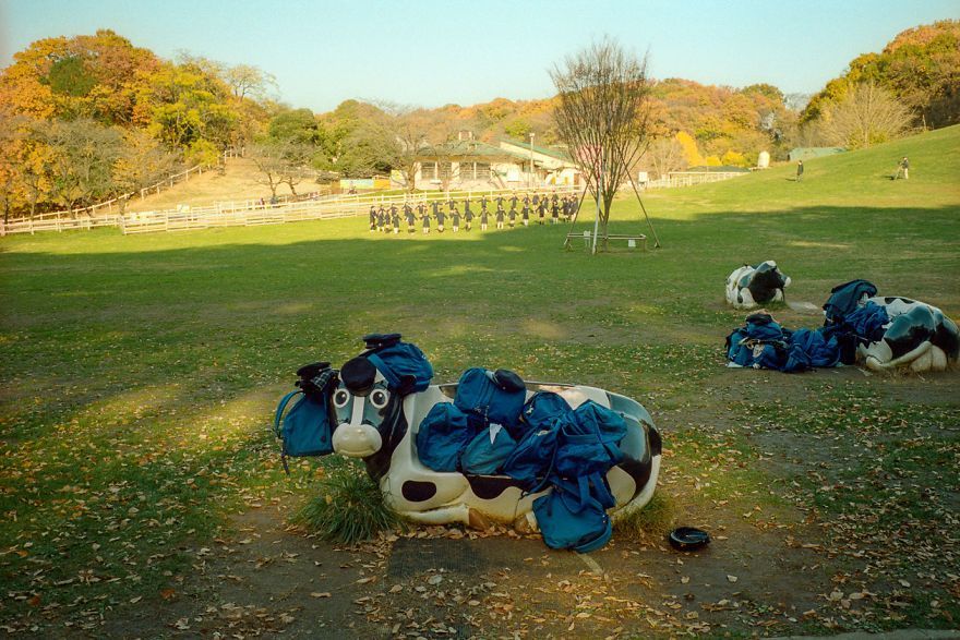 72 Photos Drôles Et Bizarres De La Vie Quotidienne Au Japon