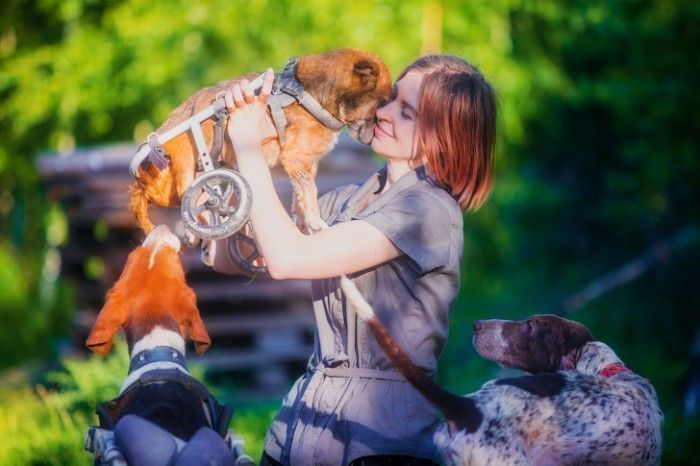 Famous Russian Photographer Ends Her Career To Live In A Forest With 100 Sick Dogs Famous Russian Photographer Ends Her Career To Live In A Forest With 100 Sick Dogs