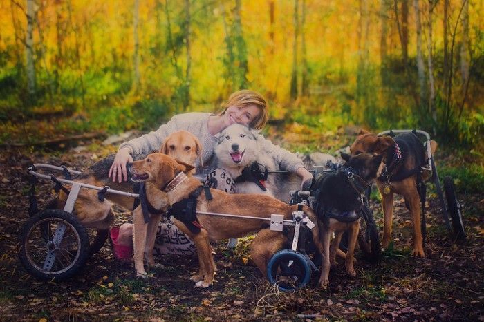 Famous Russian Photographer Ends Her Career To Live In A Forest With 100 Sick Dogs Famous Russian Photographer Ends Her Career To Live In A Forest With 100 Sick Dogs
