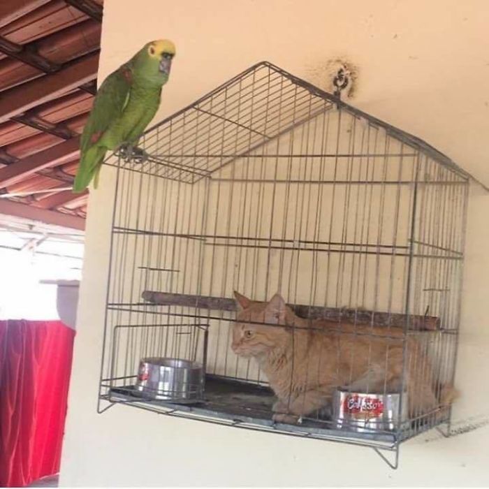 23e0949f11201ddb4cb907fcf0f5baaa
