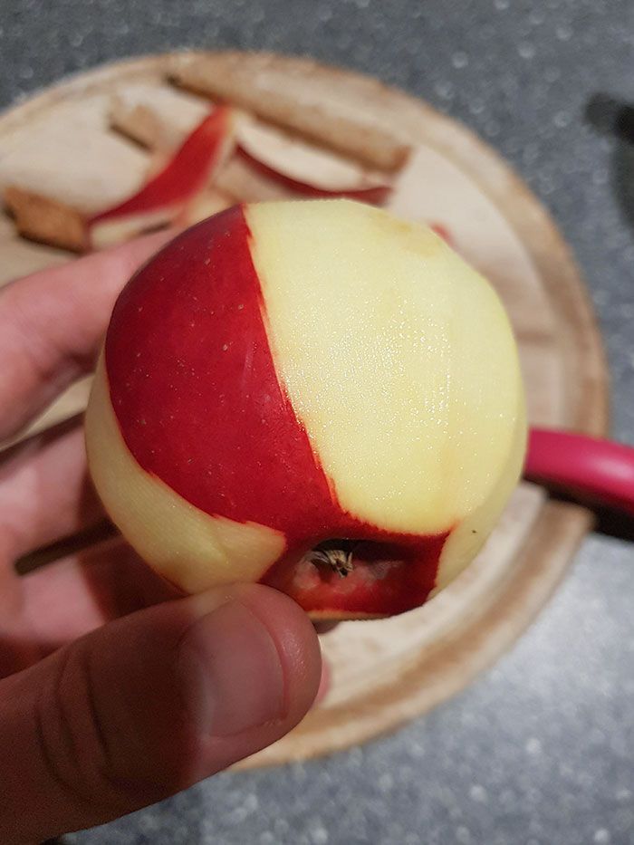 105 Real-Life Photos That Look Like Bad Renders