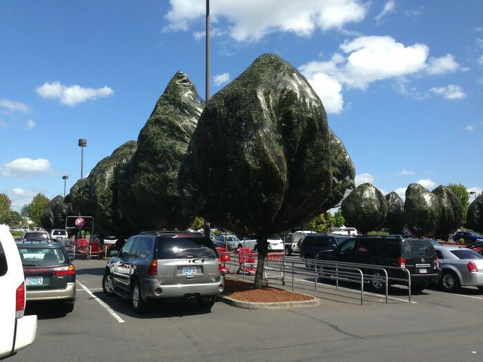 105 Real-Life Photos That Look Like Bad Renders