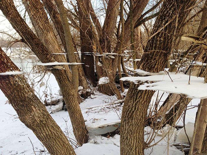 105 Real-Life Photos That Look Like Bad Renders