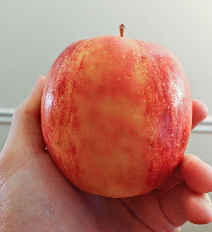 105 Real-Life Photos That Look Like Bad Renders