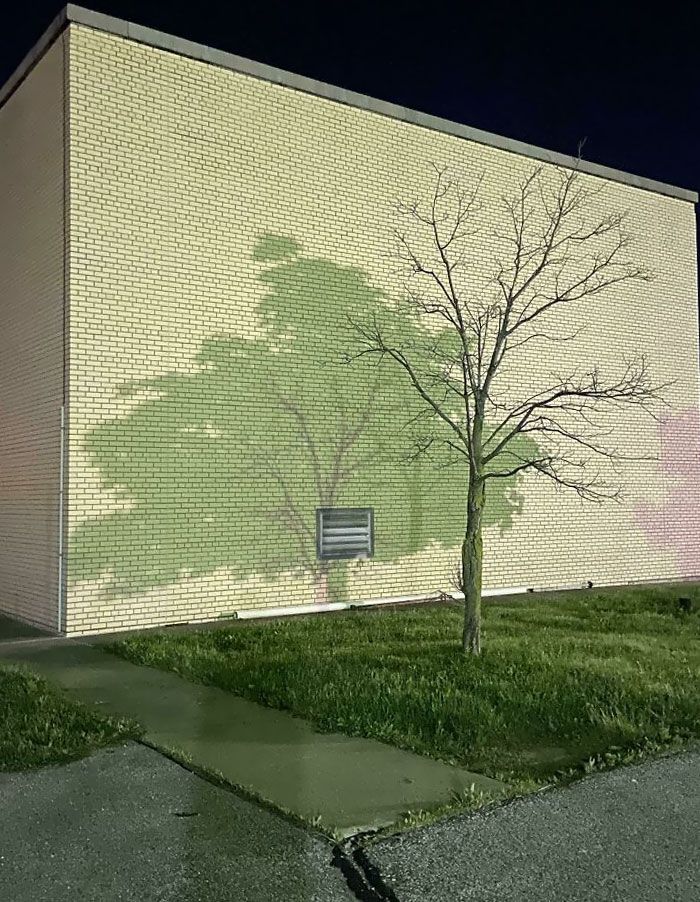 108 Times People Spotted Shadows Of Things That Look Deceiving And Just Had To Take A Pic Of Them