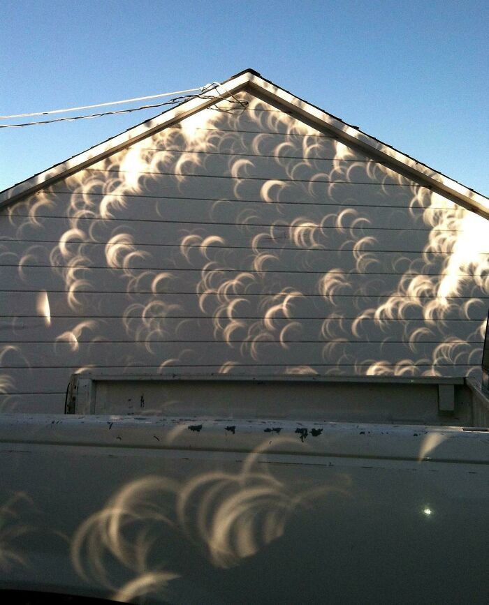 108 Times People Spotted Shadows Of Things That Look Deceiving And Just Had To Take A Pic Of Them