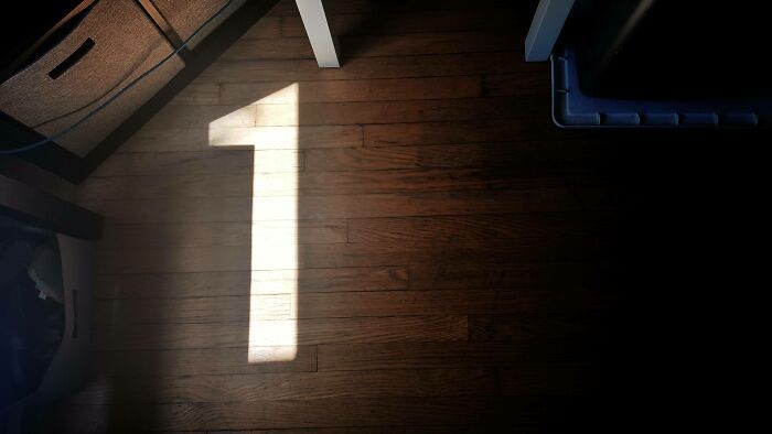 108 Times People Spotted Shadows Of Things That Look Deceiving And Just Had To Take A Pic Of Them