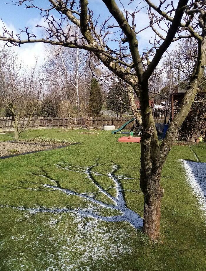 108 Times People Spotted Shadows Of Things That Look Deceiving And Just Had To Take A Pic Of Them