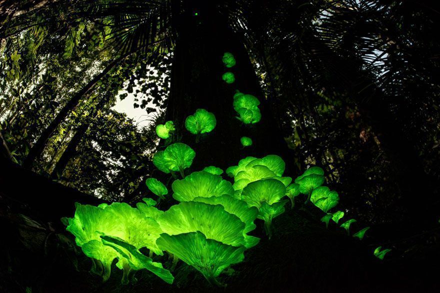 16 Of The Most Impressive Shots From The Wildlife Photographer Of The Year 2021 Contest
