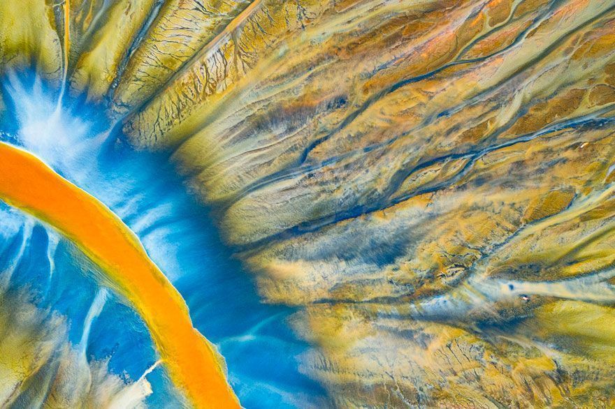 16 Of The Most Impressive Shots From The Wildlife Photographer Of The Year 2021 Contest