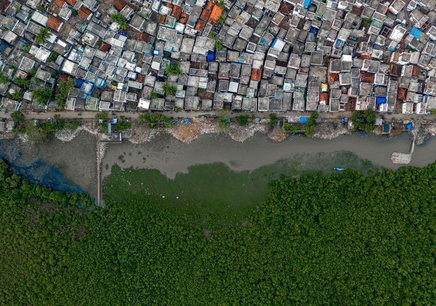 16 Of The Most Impressive Shots From The Wildlife Photographer Of The Year 2021 Contest