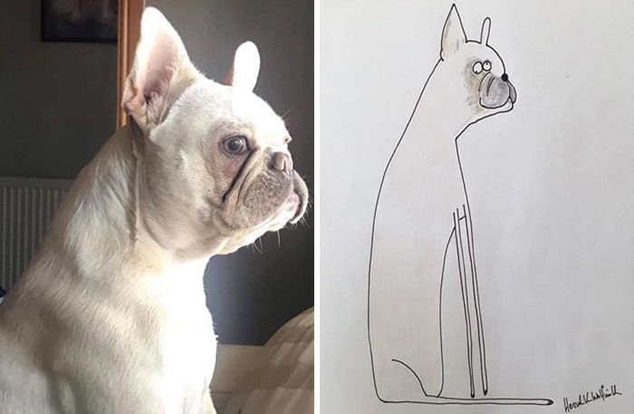 30 Animal Portraits Drawn So Badly, They Look Like Masterpieces