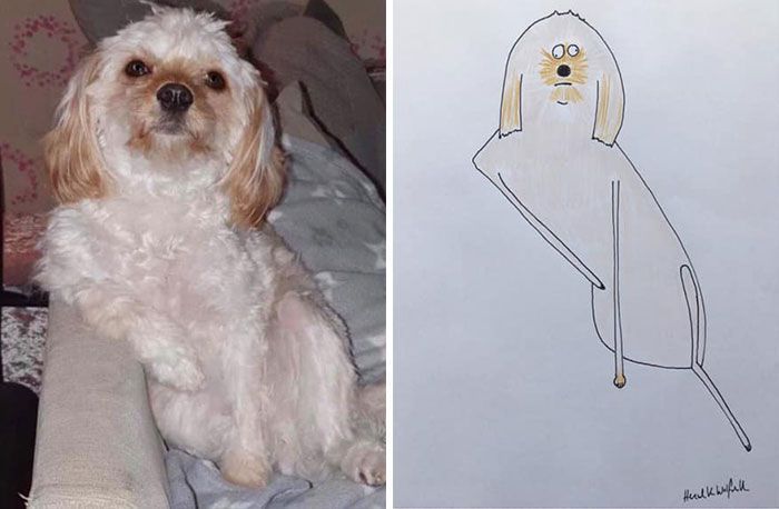 30 Animal Portraits Drawn So Badly, They Look Like Masterpieces