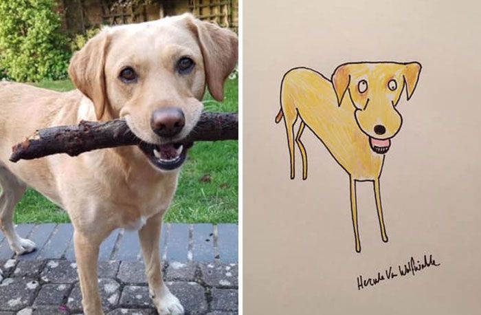 30 Animal Portraits Drawn So Badly, They Look Like Masterpieces