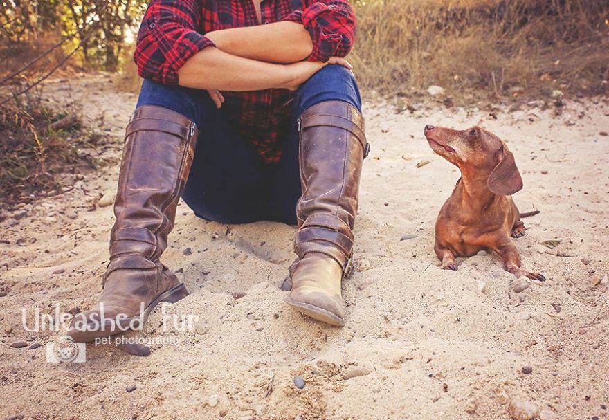 I Photograph Senior Dogs On Their Last Day On Earth (30 Pics)