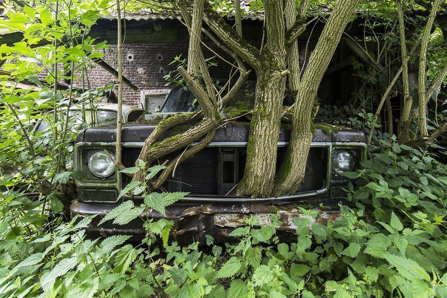 I Travel The World To Capture Amazing Pictures Of Nature Taking Back Abandoned Places