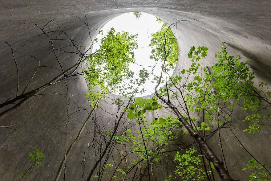 I Travel The World To Capture Amazing Pictures Of Nature Taking Back Abandoned Places