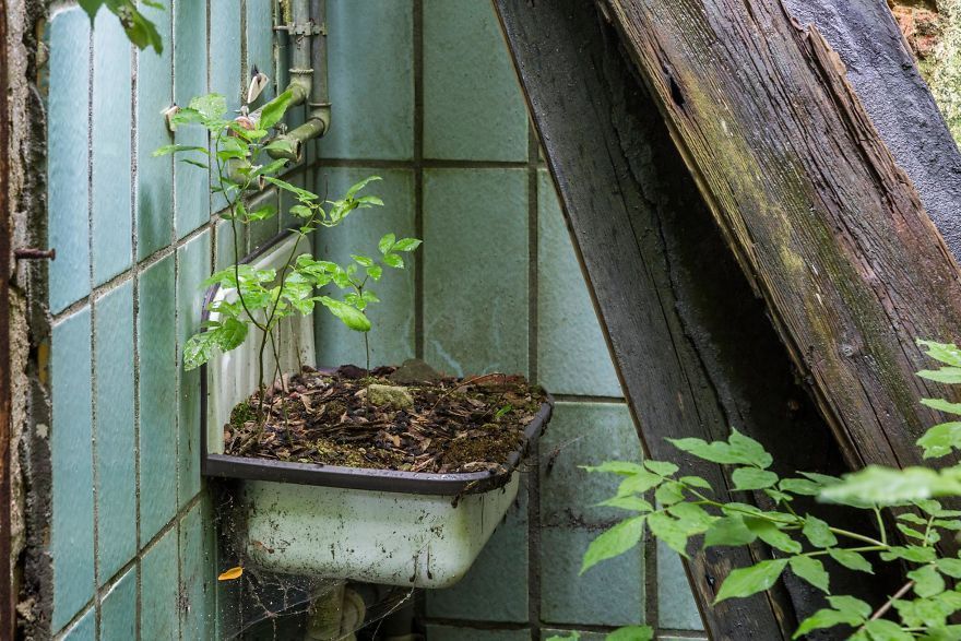 I Travel The World To Capture Amazing Pictures Of Nature Taking Back Abandoned Places