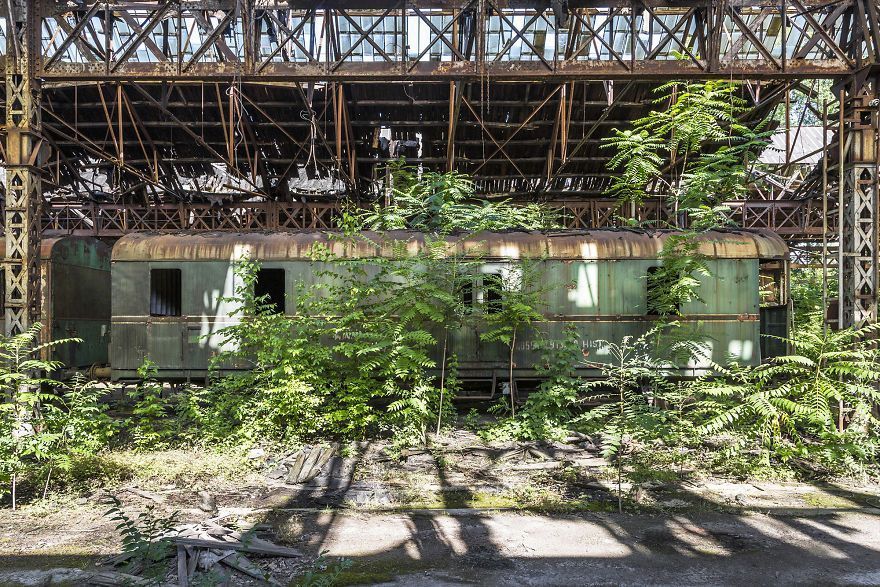 I Travel The World To Capture Amazing Pictures Of Nature Taking Back Abandoned Places
