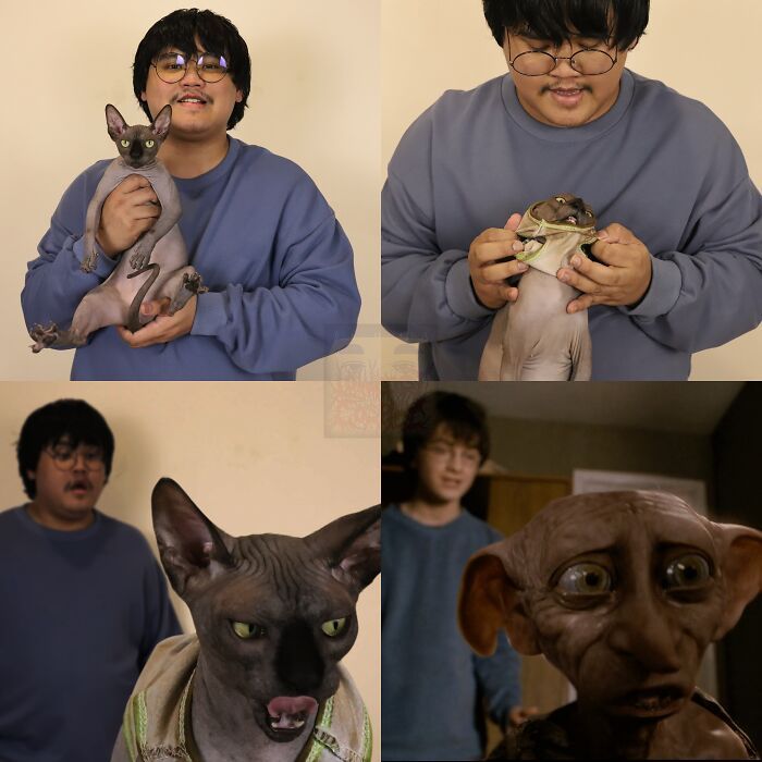 97 New Costumes From The Cheap Cosplay Guy That Are Hilariously On Point