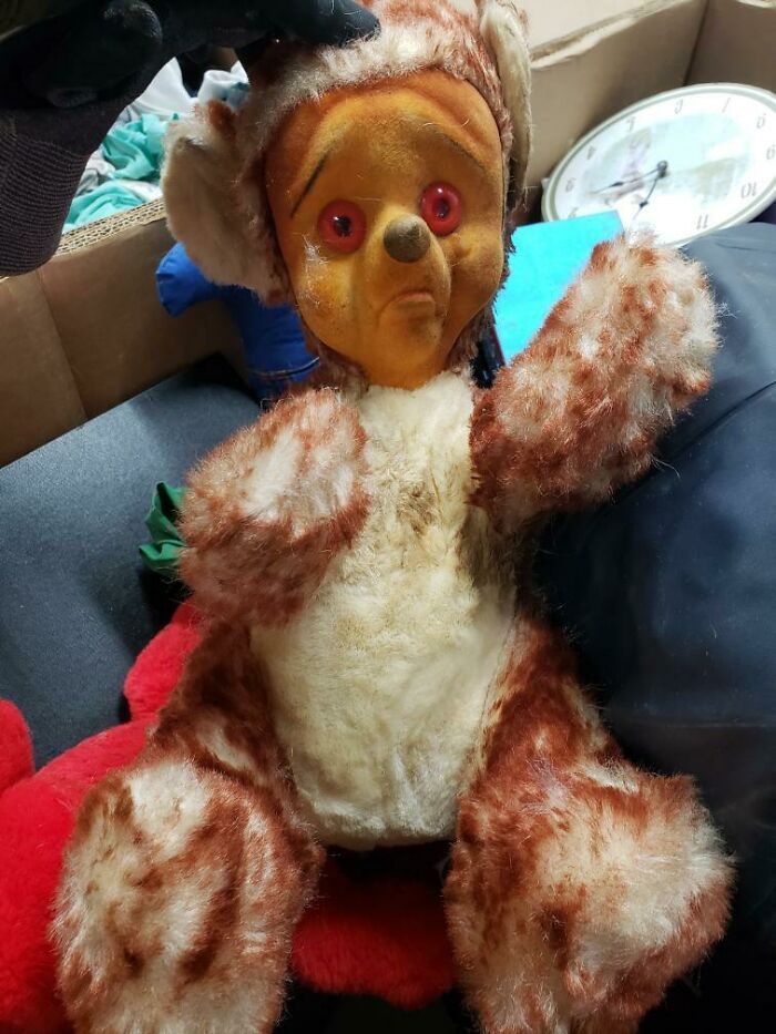 Quelqu’un sait-il d’où vient cette peluche effrayante, trouvée dans un don de bonne volonté ?