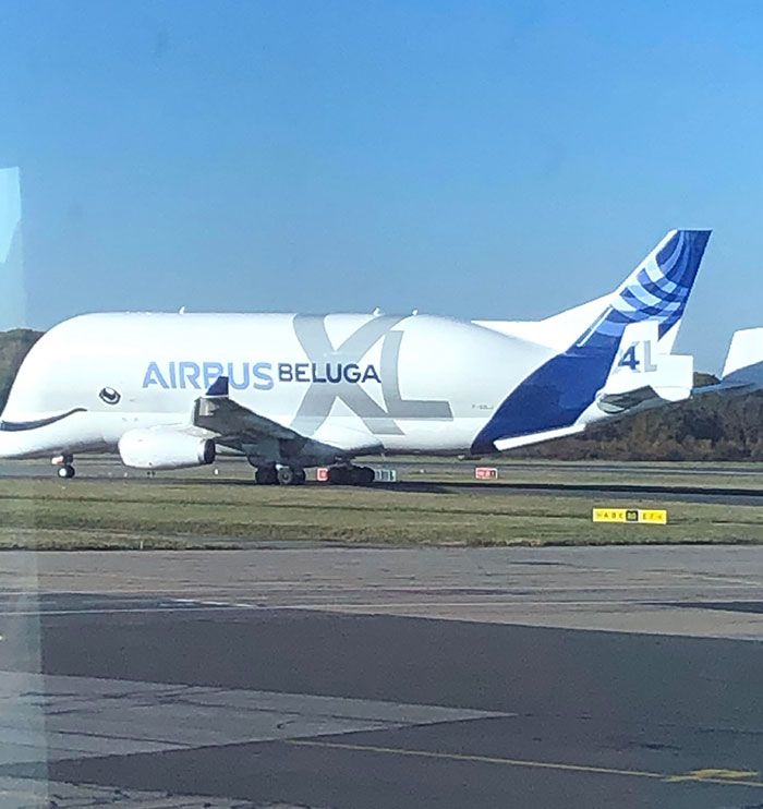 Cet avion a été conçu pour ressembler à une baleine.